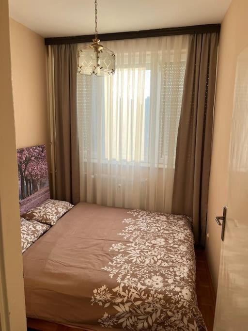 Shesh Hostel Пристина Екстериор снимка